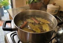 Aromatizador natural: como louro, canela e cravo transformam o ambiente doméstico