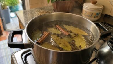 Aromatizador natural: como louro, canela e cravo transformam o ambiente doméstico
