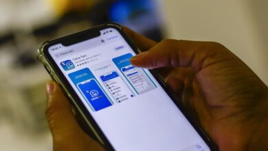Bolsa Família: governo libera pagamentos pelo Caixa Tem com valores que podem chegar a R$ 750