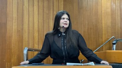 Câmara aprova projeto para qualificar representação no Conselho Municipal de Educação