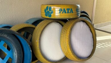 Camas de pneu reciclado impulsionam proteção animal em Aparecida de Goiânia