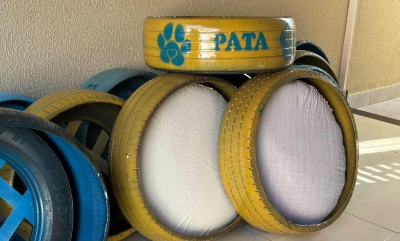 Camas de pneu reciclado impulsionam proteção animal em Aparecida de Goiânia