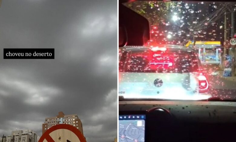Chuva surpreende Goiânia após recorde de calor e marca fim de estiagem severa