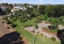 Cidade gaúcha de 3 mil habitantes vira atração turística com mais de 200 esculturas em árvores