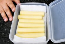 Como conservar queijo na geladeira para evitar mofo e ressecamento