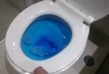 Desentupir vaso sanitário: o método simples e econômico recomendado por encanadores
