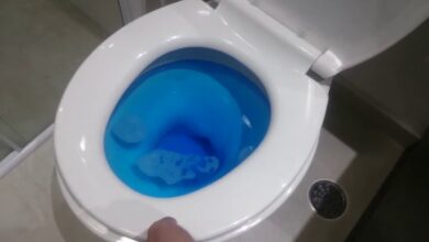 Desentupir vaso sanitário: o método simples e econômico recomendado por encanadores