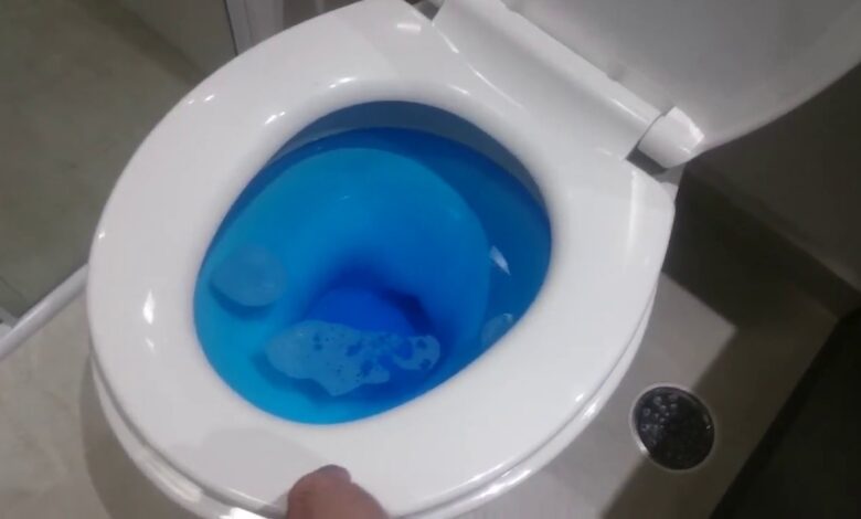 Desentupir vaso sanitário: o método simples e econômico recomendado por encanadores