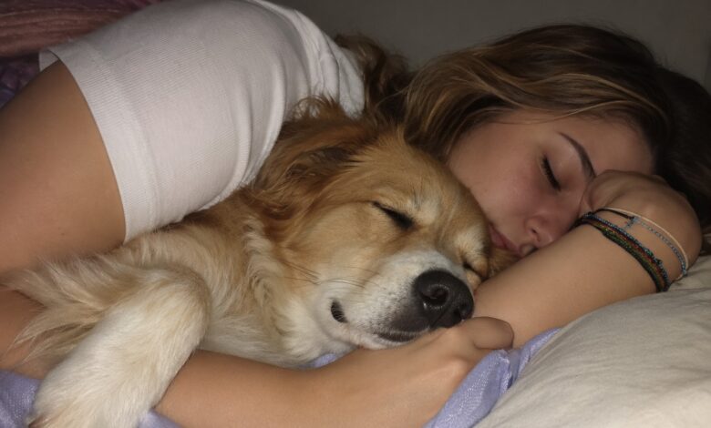 Dormir com o cachorro: especialistas em comportamento canino debatem prós e contras