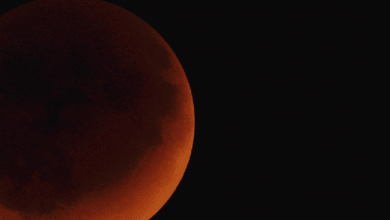Eclipse lunar parcial de quase 100% poderá ser visto em todo o Brasil nesta quinta-feira