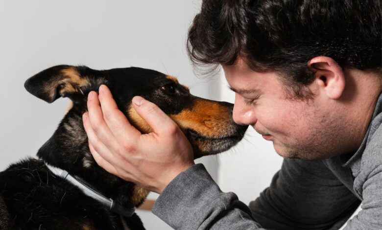 Entenda por que nem todo carinho é bem-vindo pelos cães segundo especialistas