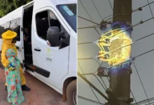Enxame ataca 40 pessoas na Apae de Piracanjuba e mobiliza bombeiros em Goiás