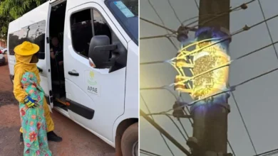 Enxame ataca 40 pessoas na Apae de Piracanjuba e mobiliza bombeiros em Goiás