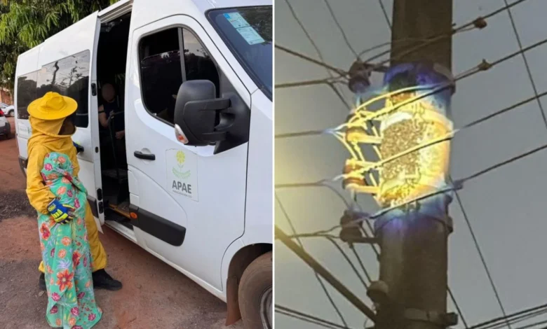 Enxame ataca 40 pessoas na Apae de Piracanjuba e mobiliza bombeiros em Goiás