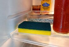 Esponja na geladeira: entenda como o truque ajuda a conservar alimentos frescos