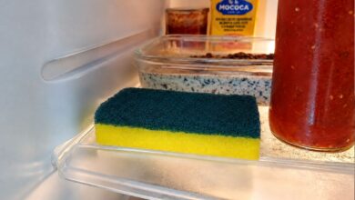 Esponja na geladeira: entenda como o truque ajuda a conservar alimentos frescos
