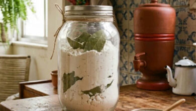 Folhas de louro na farinha de trigo: entenda o truque doméstico e seus limites