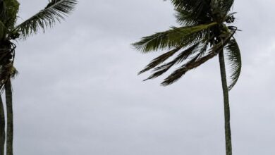 Goiás em alerta: rajadas de vento de até 60 km/h exigem cautela no estado