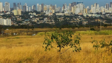Goiás volta a registrar alerta de baixa umidade após breve trégua climática