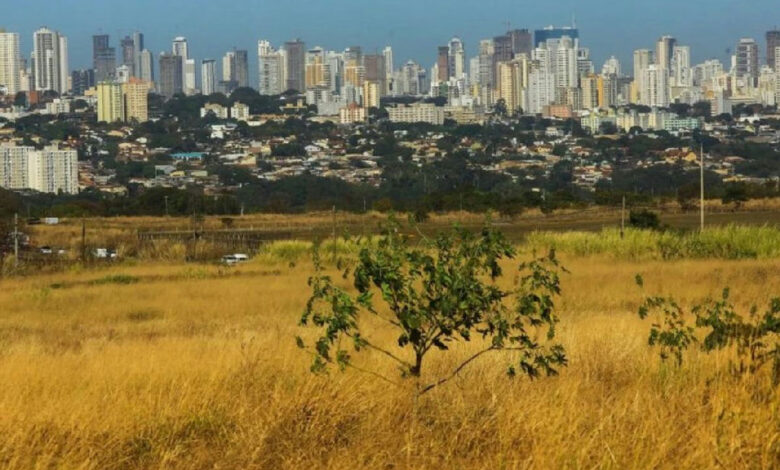 Goiás volta a registrar alerta de baixa umidade após breve trégua climática