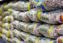 Guia do feijão: entenda as variedades e escolha a melhor opção para sua cozinha