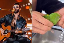 Gusttavo Lima e família protagonizam resgate emocionante de pássaro em sua residência