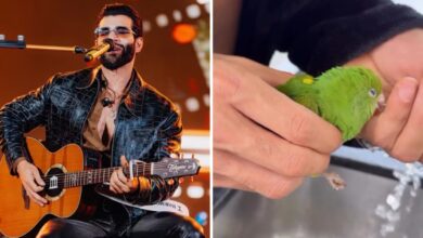 Gusttavo Lima e família protagonizam resgate emocionante de pássaro em sua residência