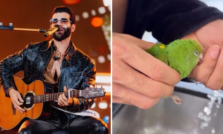 Gusttavo Lima e família protagonizam resgate emocionante de pássaro em sua residência