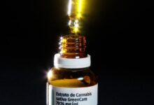 Importação de cannabis medicinal no Brasil registra alta de quase 30% em 2026