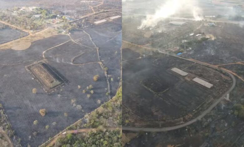 Incêndio atinge área do Parque Telma Ortegal onde estão rejeitos do Césio-137