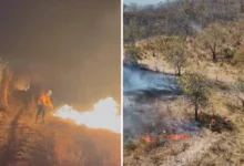 Incêndio de grandes proporções ameaça o Parque Estadual da Serra Dourada em Goiás