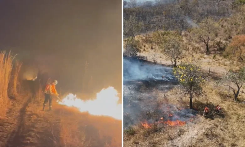 Incêndio de grandes proporções ameaça o Parque Estadual da Serra Dourada em Goiás