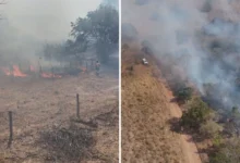 Incêndio de grandes proporções atinge área próxima ao Parque Estadual da Serra Dourada