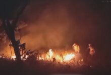 Incêndio destrói mais de 1,2 mil hectares de vegetação na Chapada dos Veadeiros