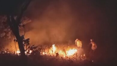 Incêndio destrói mais de 1,2 mil hectares de vegetação na Chapada dos Veadeiros