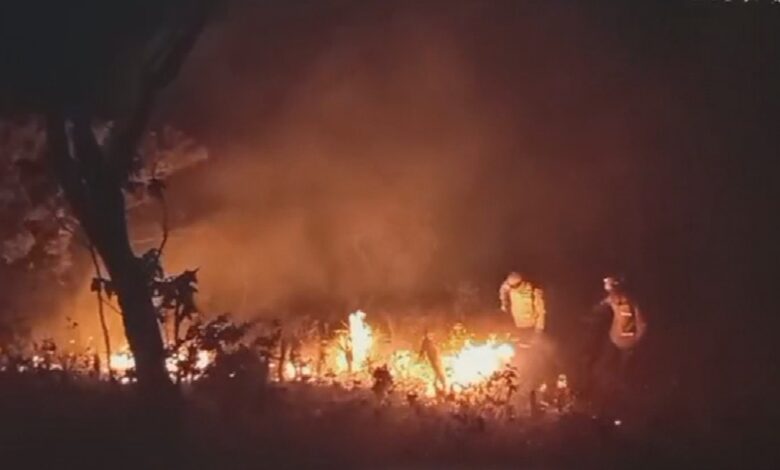 Incêndio destrói mais de 1,2 mil hectares de vegetação na Chapada dos Veadeiros