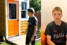 Jovem empreendedor de 13 anos constrói casa própria no quintal dos pais com dinheiro de serviços