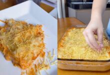 Lasanha de strogonoff: a combinação inusitada que promete ser o destaque do almoço de domingo