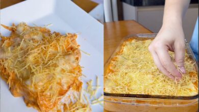 Lasanha de strogonoff: a combinação inusitada que promete ser o destaque do almoço de domingo