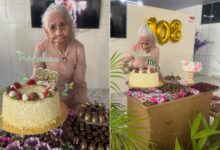 Longevidade em Goiás: Dona Madalena celebra 108 anos e inspira comunidade