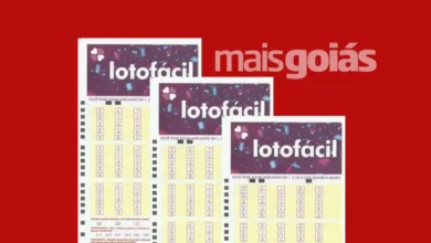 Lotofácil 3769: 14 apostas de Goiás são premiadas em sorteio sem ganhador principal