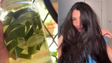 Mel de babosa caseiro ganha popularidade como alternativa para reduzir o frizz