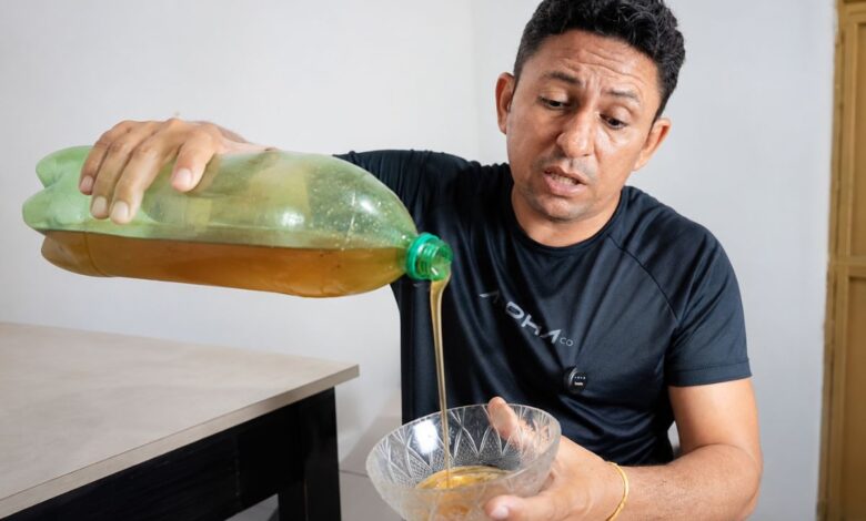 Mel, limão e sal: entenda o uso popular da mistura para aliviar tosse e irritação na garganta