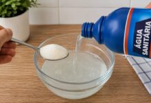 Mistura de água sanitária com açúcar viraliza na internet para remoção de mofo
