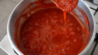 Molho de tomate caseiro: a técnica simples para elevar o sabor das suas receitas