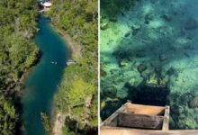 Nascente Bom Jesus: águas cristalinas e nado com peixes em um paraíso goiano