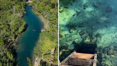 Nascente Bom Jesus: águas cristalinas e nado com peixes em um paraíso goiano