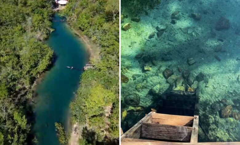 Nascente Bom Jesus: águas cristalinas e nado com peixes em um paraíso goiano
