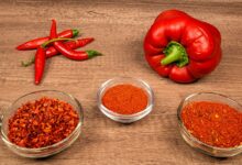 O segredo da páprica: doce, defumada ou picante, entenda as nuances para elevar suas receitas