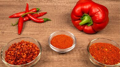 O segredo da páprica: doce, defumada ou picante, entenda as nuances para elevar suas receitas